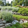 Creative Rockeries and Landscaping gallery