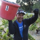 Pedroncelli Winery - Wineries