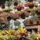 Sunny Spot Nursery - Garden Centers