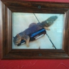 Fuzzy's Taco Shop gallery