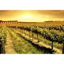 The Purple Orchid Wine Country & Spa - Bed & Breakfast & Inns