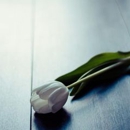 Silver Creek Mortuary - Medical Centers