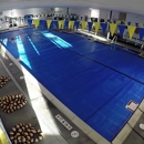 Sutton Swim School - Swimming Instruction