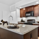 Luxe at Union Hill - Apartments