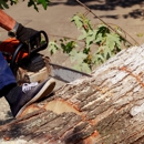 Trailhawk Tree Experts - Tree Service