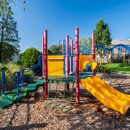 Summer Cove Apartments - Apartments