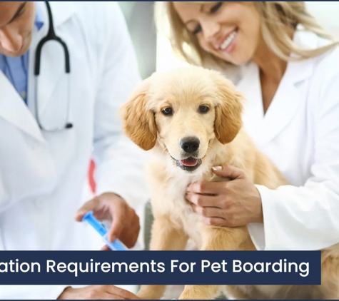 Ulverstone Boarding Kennels & Cattery - Ulverstone, TAS. Vaccination Requirements For Pet Boarding