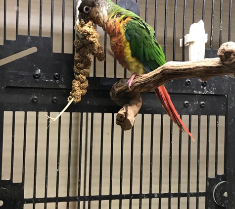 PetSmart - El Segundo, CA