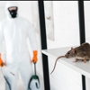 Ridtechs Pest Solutions gallery