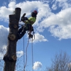 Tree Tech NW gallery