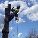 Tree Tech NW - Tree Service