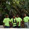 Florida's Finest Tree and Lawn Service LLC gallery