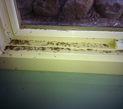 Perkins Exterminators Pty Ltd - Greensborough, VIC