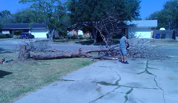 Kalbfleisch & Sons Tree Service - Corpus Christi, TX