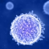 Atara Biotherapeutics, Inc gallery