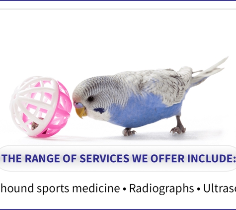 Alcorn Street Veterinary Clinic. • Greyhound Sports Medicine • Radiographs • Ultrasounds