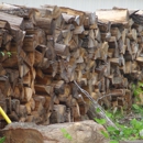 Bradley Tree Service & Excavating - Tree Service