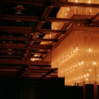 Golden Steer at One Fifth