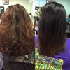 Tamed Hair gallery