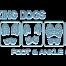 Dr. Nicholas Pagano - Physicians & Surgeons, Podiatrists