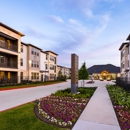 Alexan Magnolia Apartments