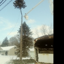 Woods Outdoor Services - Tree Service