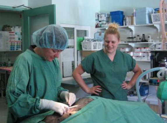 Kalgoorlie Veterinary Clinic - South Kalgoorlie, WA