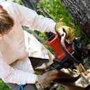 Volunteer Tree  Service LLC - Tree Service