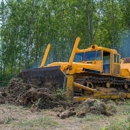 Tree Soldiers Rochester NY - Tree Service