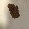 Shoreline Pest Solutions gallery