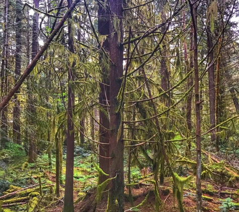 Lord Hill Regional Park - Snohomish, WA