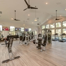 Legacy at Cibolo
