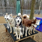 The Barking Birch Pet Lodge