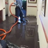 Pro Steam Carpet Cleaning, Upholstery & Water Damage gallery