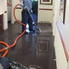 Pro Steam Carpet Cleaning, Upholstery & Water Damage