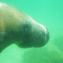 CoastLine Dolphin & Snorkeling Excursions - Historical Places