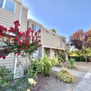 Stony Creek Apartments - Apartments