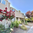 Stony Creek Apartments