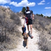 Front Range Dog Runners gallery