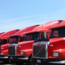 Cal Auto License - Tags-Vehicle