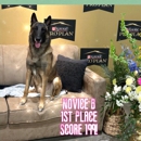 Sterling Canine Academy Inc - Dog Training