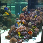 Gallery Image Number 3