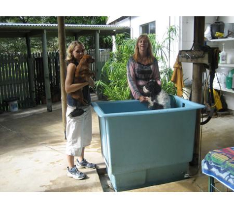 Noosa Pet Resort - Cooroibah, QLD