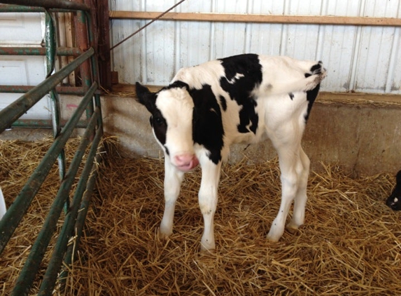 Shatto Milk Company - Osborn, MO