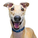 Benson's Pet Center - Farm Supplies