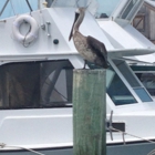 Conch Harbor Marina