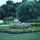 PDQ Lawn & Landscape - Lawn Maintenance