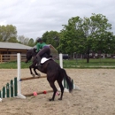 Full Circle Equestrian - Horse Training