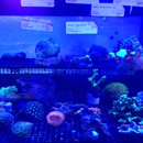 The Barrier Reef - Aquariums & Aquarium Supplies