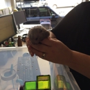 Petrelocation.com - Animal Removal Services